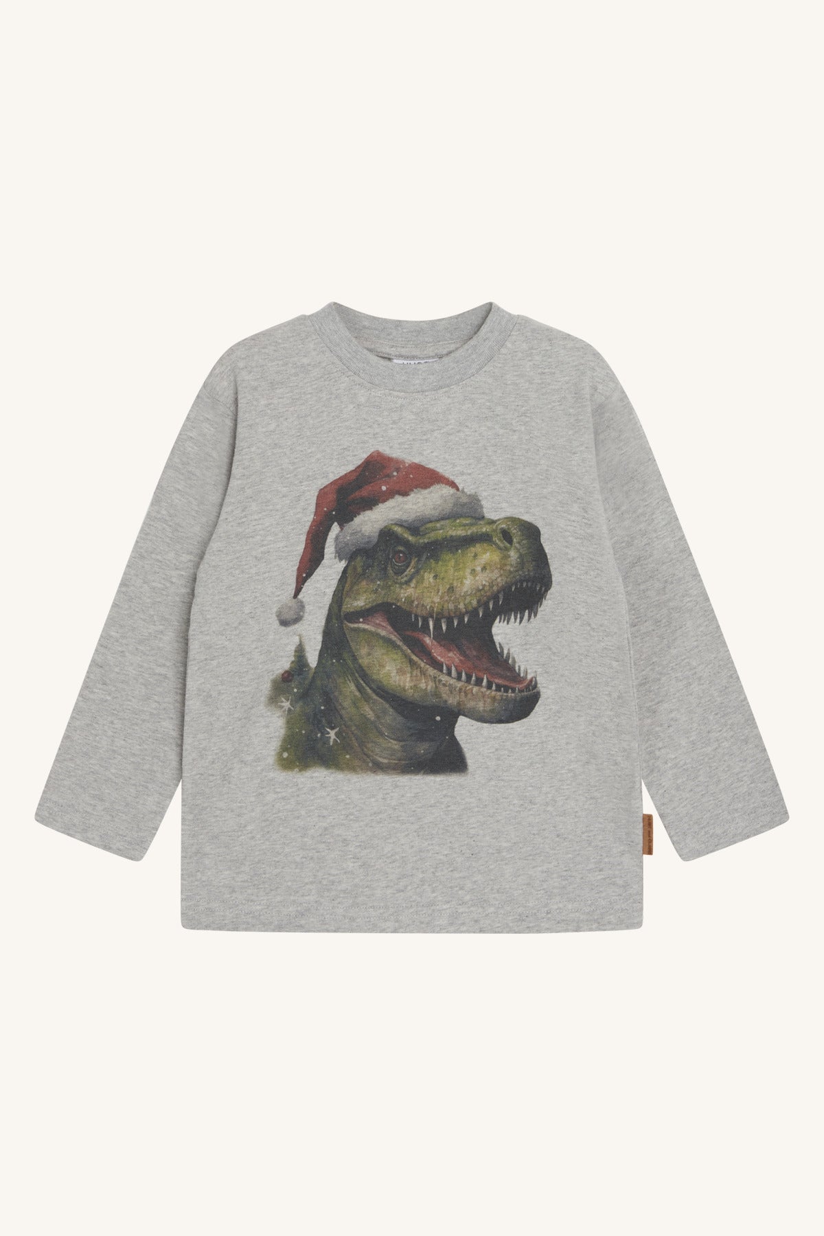 HCAnton - Langarmshirt Dino Weihnachten - nila kids