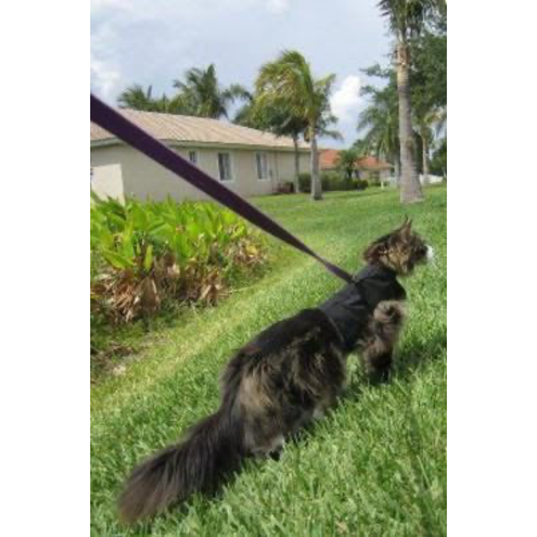 Arnés Z-Kitty Holster para gatos