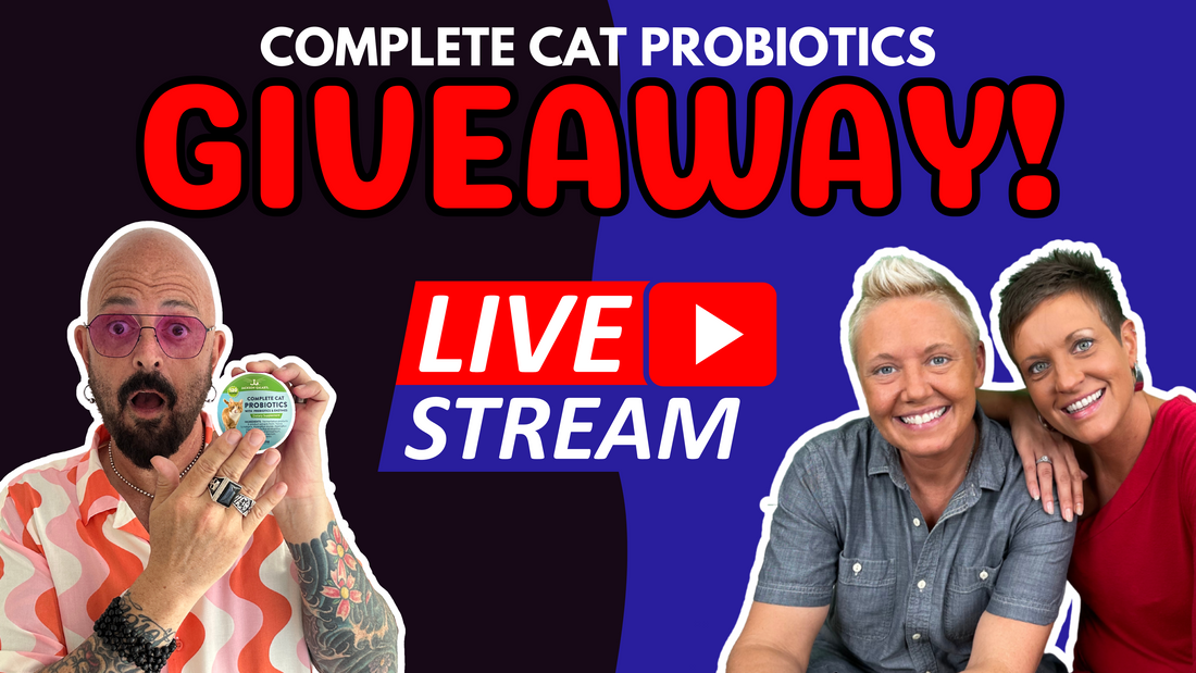 Livestream with the Two Crazy Cat Ladies: Let's Talk Probiotics!