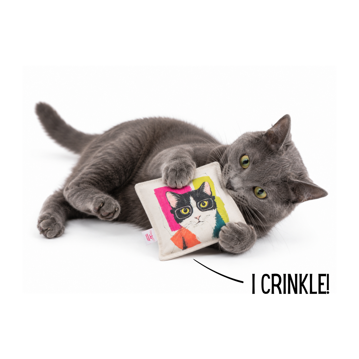 Cat Nerd Pop Art Bundle - Limited Edition Toy Collection by Jackson Galaxy