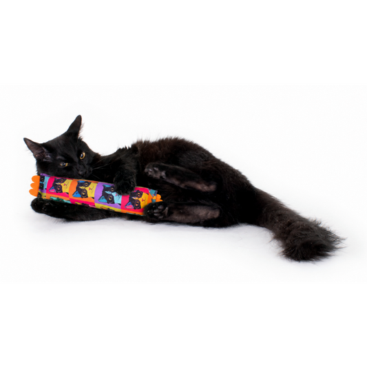 Cat Nerd Pop Art Kicker - Limited Edition Toy Collection by Jackson Galaxy