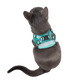 The Jackson Galaxy x Travel Cat Harness & Leash Set