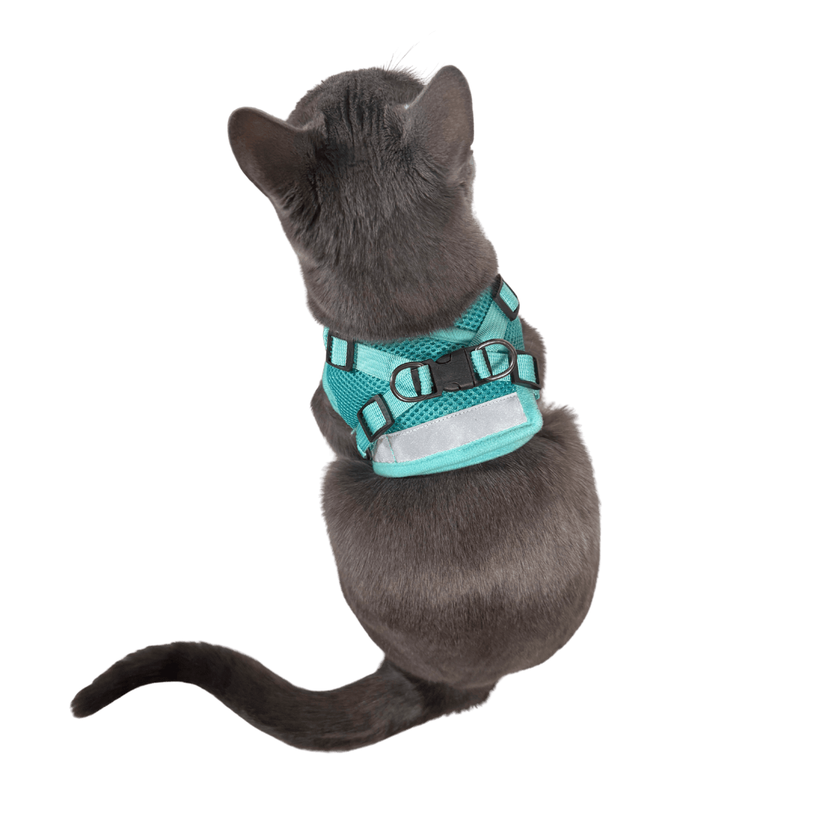 The Jackson Galaxy x Travel Cat Harness & Leash Set