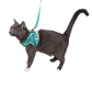 The Jackson Galaxy x Travel Cat Harness & Leash Set