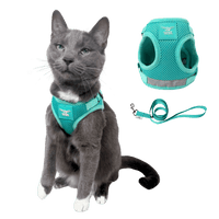 The Jackson Galaxy x Travel Cat Harness & Leash Set