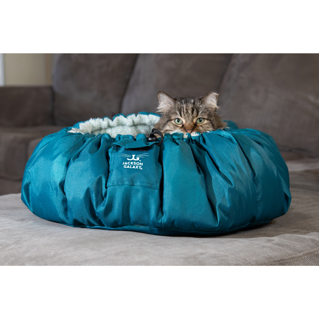 Cama para gatos convertible en forma de almeja
