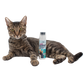 Scrub Meowt! Stain & Odor Remover