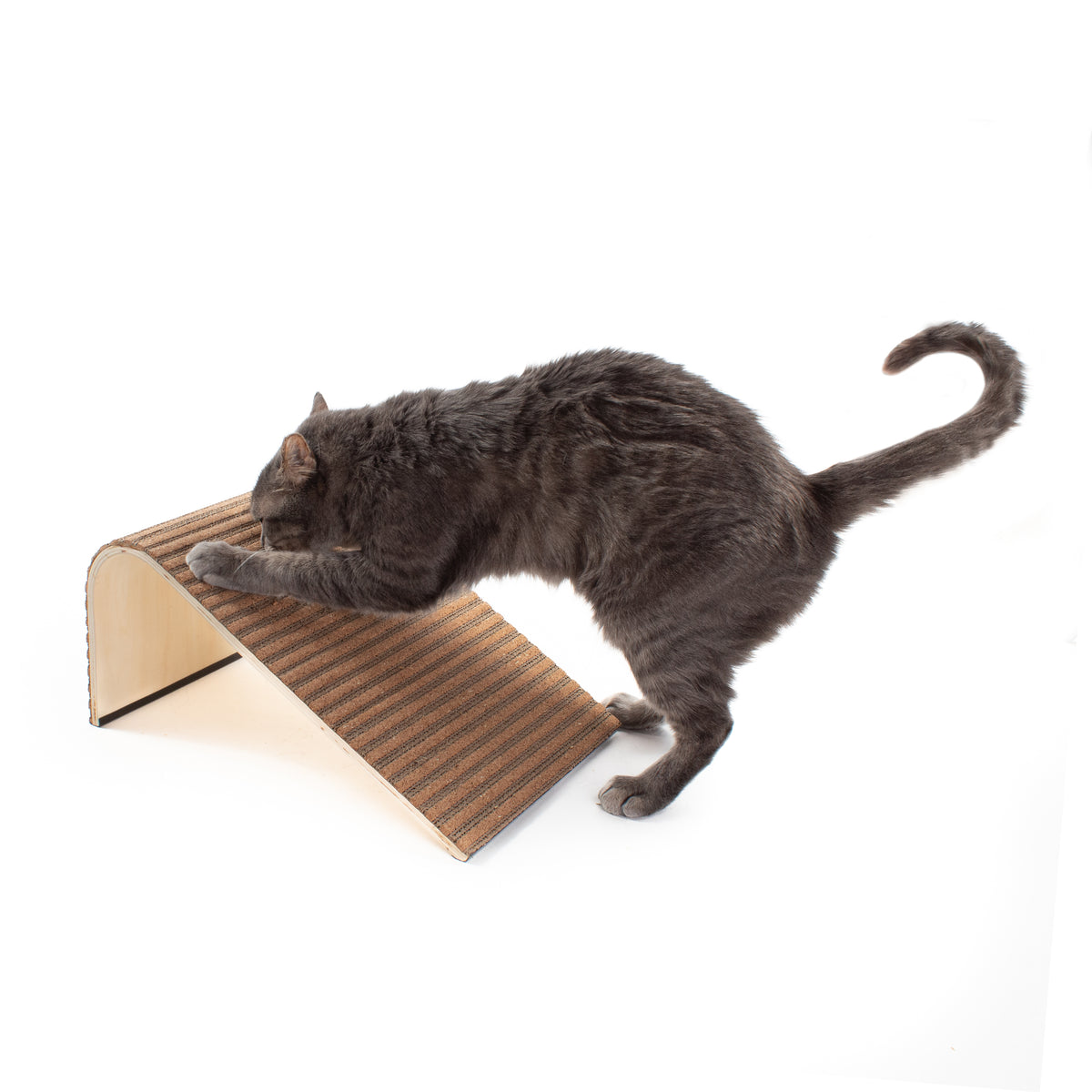 Scratchify! Incline Scratcher by Jackson Galaxy