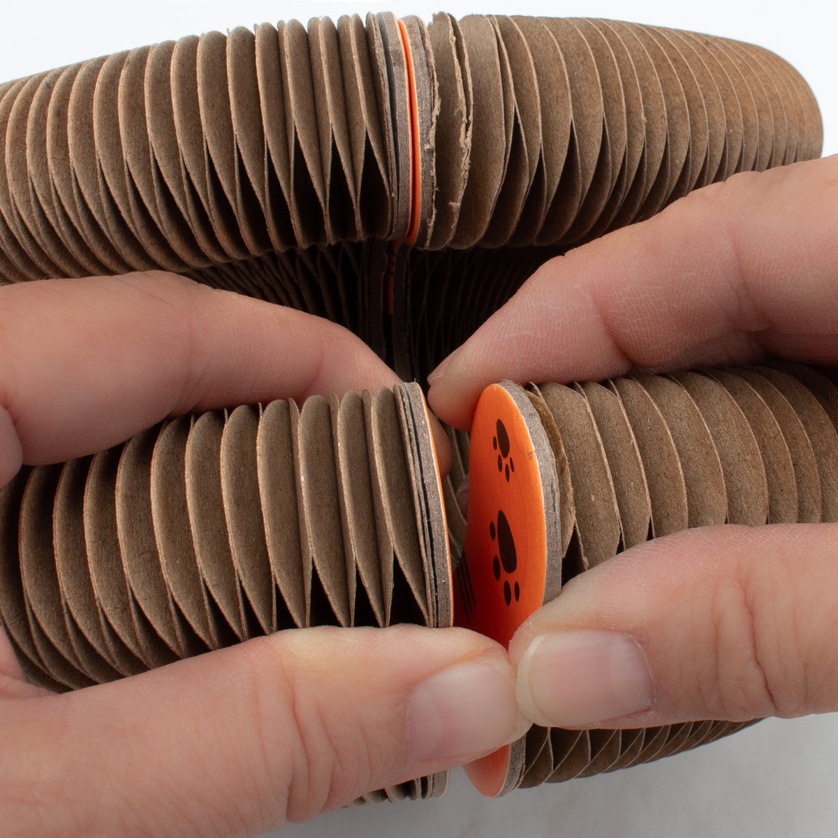 Cardboard Accordion Cat Toy