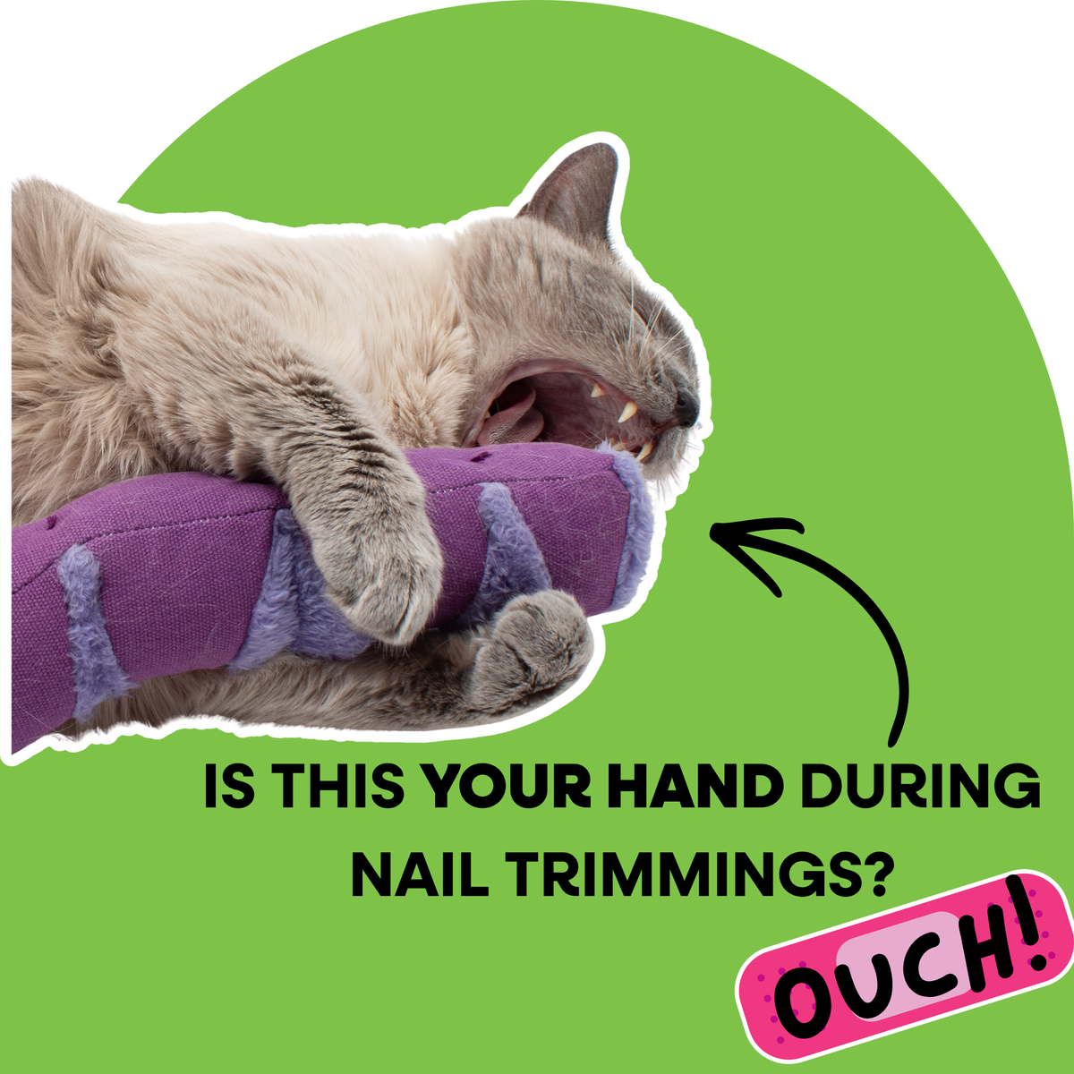 Easier Nail Trim Duo