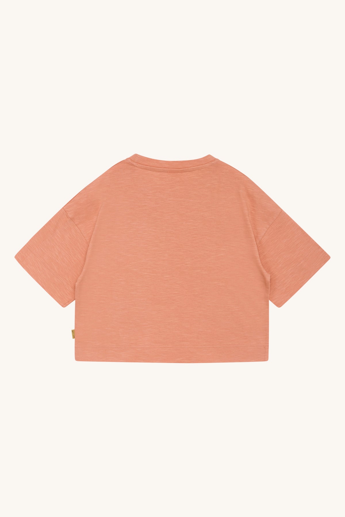 Vor einem hellen Hintergrund ist ein schlichtes, kurzärmeliges, pfirsichfarbenes Hust and Claire - Agne T-Shirt von Hust & Claire abgebildet. Das von hinten gezeigte Shirt hat eine lockere Passform mit leicht weitem Ausschnitt und ein schlichtes Design ohne sichtbare Logos oder Muster. Dieses umweltfreundliche Kleidungsstück erfüllt die GOTS-Zertifizierungsstandards.