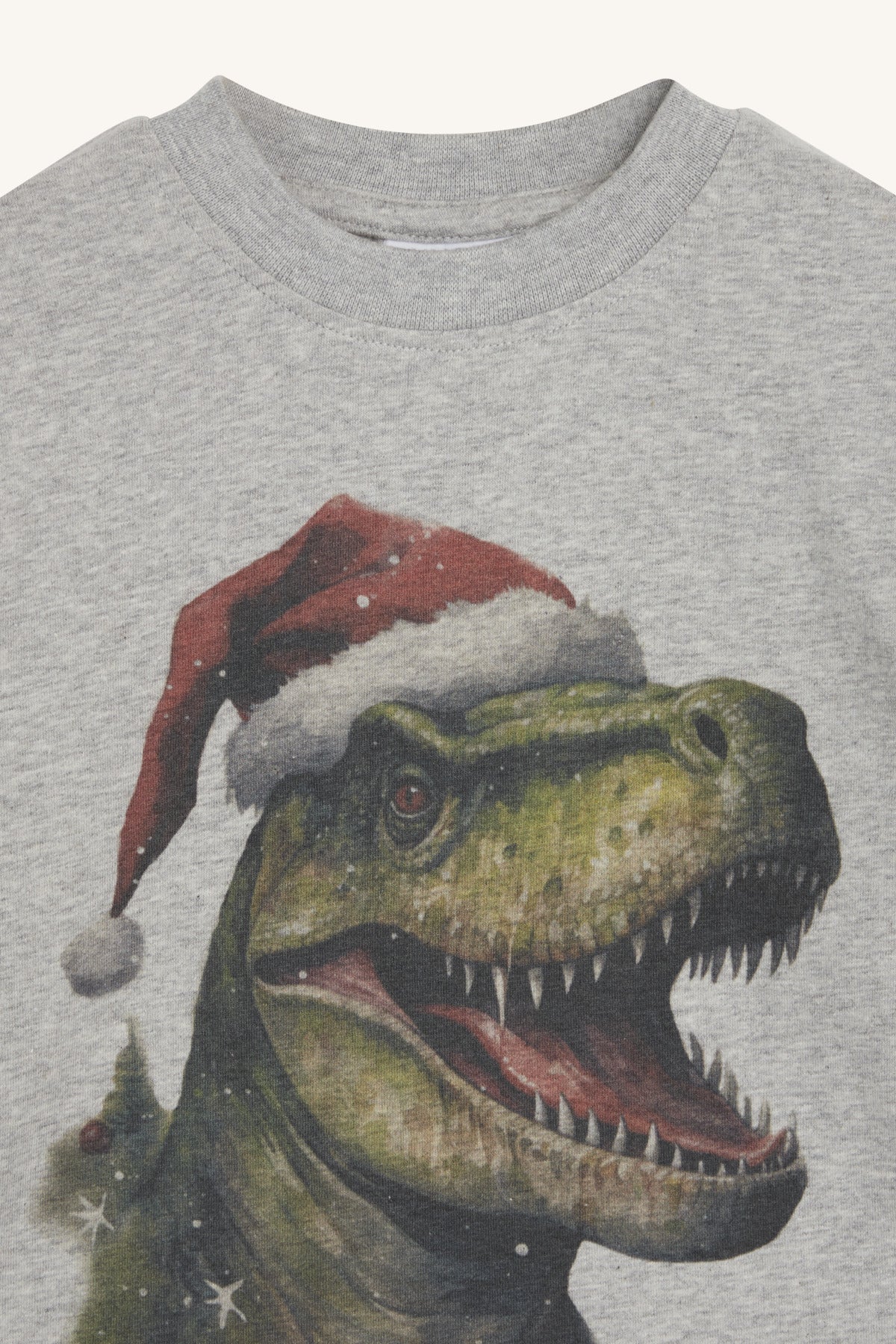 HCAnton - Langarmshirt Dino Weihnachten - nila kids