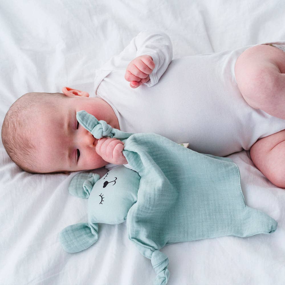 Bio Kuscheltier Hase für Babys aus Baumwolle - nila kids