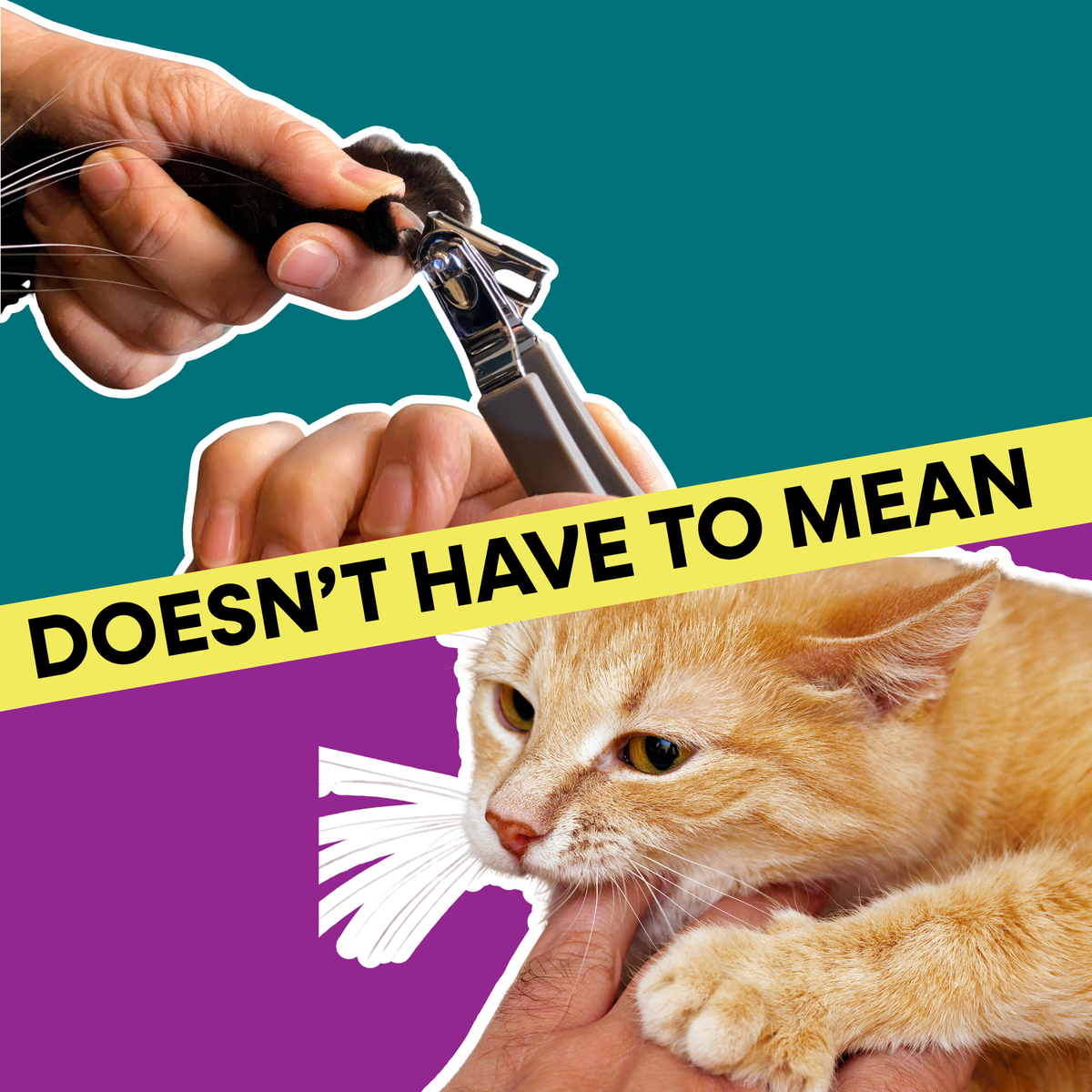 Easier Nail Trim Duo
