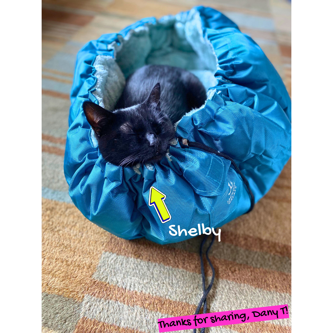 Cama para gatos convertible en forma de almeja
