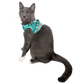 The Jackson Galaxy x Travel Cat Harness & Leash Set