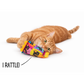 Cat Nerd Pop Art Bundle - Limited Edition Toy Collection by Jackson Galaxy