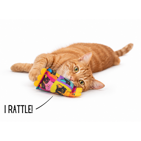 Cat Nerd Pop Art Shaker - Limited Edition Toy Collection by Jackson Galaxy