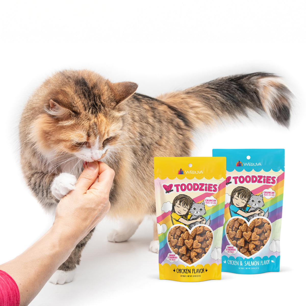 Chicken Flavor Crunchy Cat Treats by BFF Toodzies