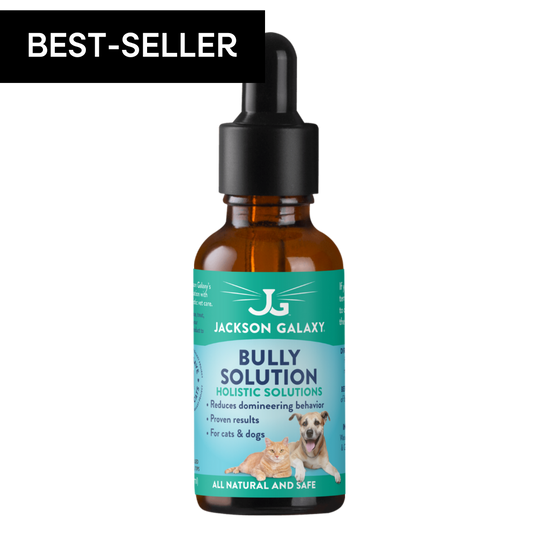 Bully Solution