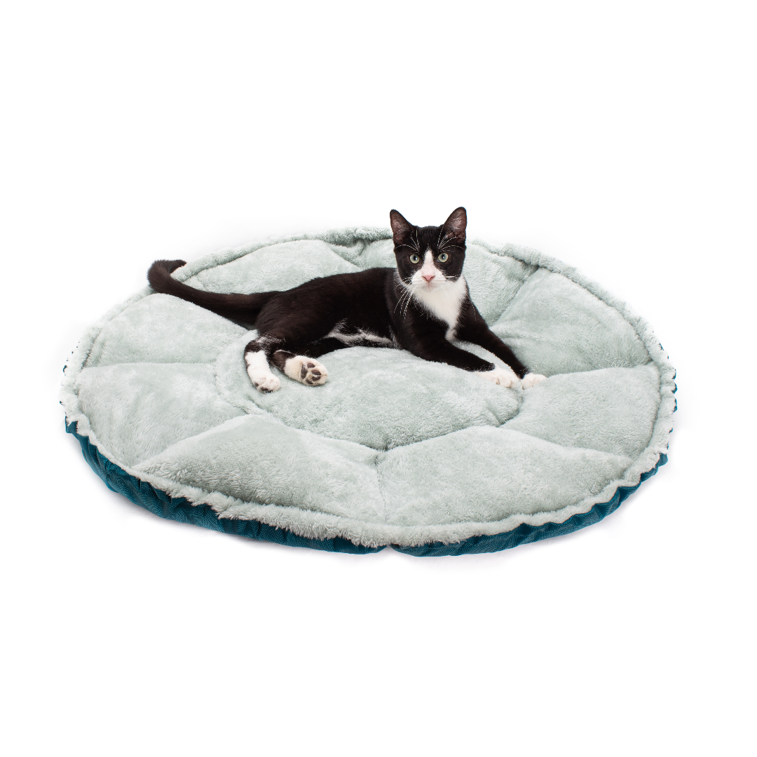 Cama para gatos convertible en forma de almeja