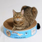 The Endless Buffet Scratch Pad by Square Paws