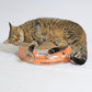 The Endless Buffet Scratch Pad by Square Paws