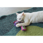 Playback Duo, Boombox & Cassette - Jackson Galaxy x Feline Frenzy