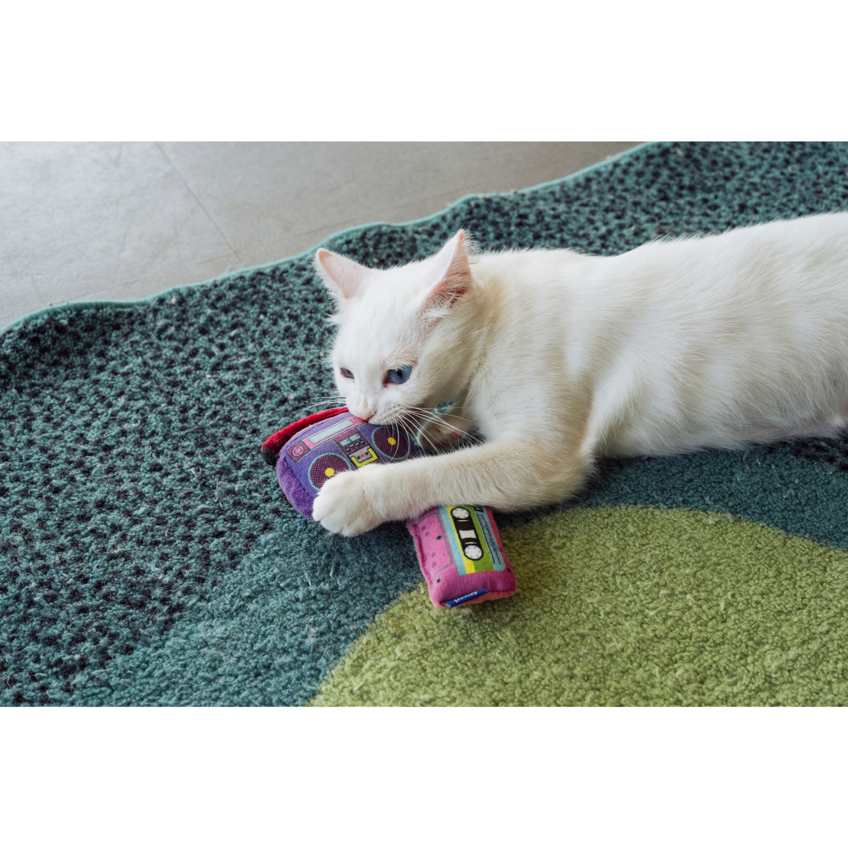 Playback Duo, Boombox & Cassette - Jackson Galaxy x Feline Frenzy