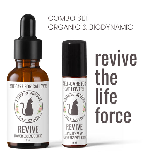 Set Revive - Rejuvenecimiento para humanos