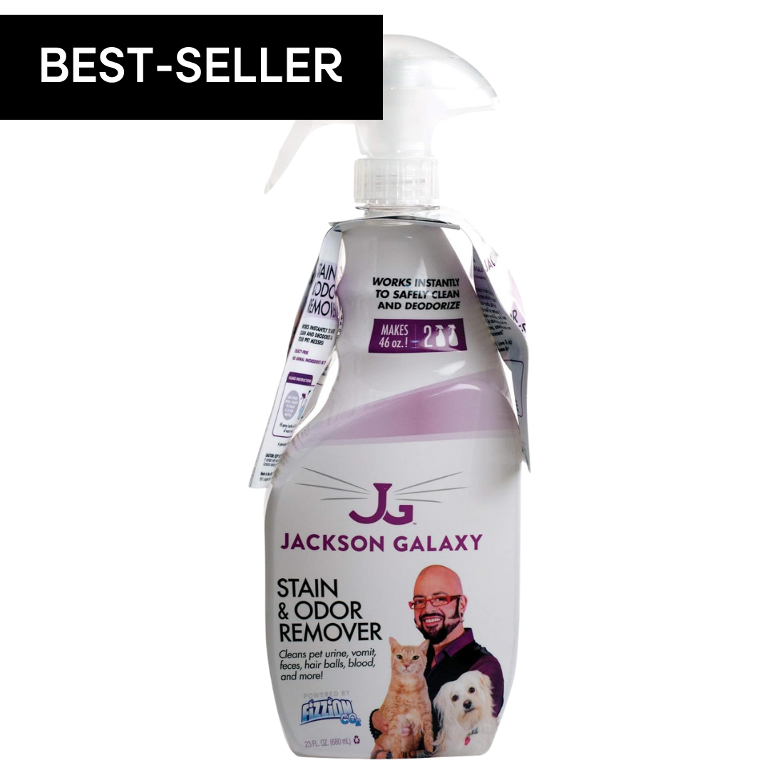 Z-Stain & Odor Remover (23oz)