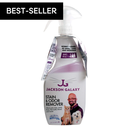 Z-Stain & Odor Remover (23oz)