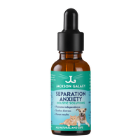 Separation Anxiety - Anti Anxiety Solution for Cats & Dogs