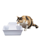 Fuente Pagoda para mascotas, blanca de PetSafe Drinkwell