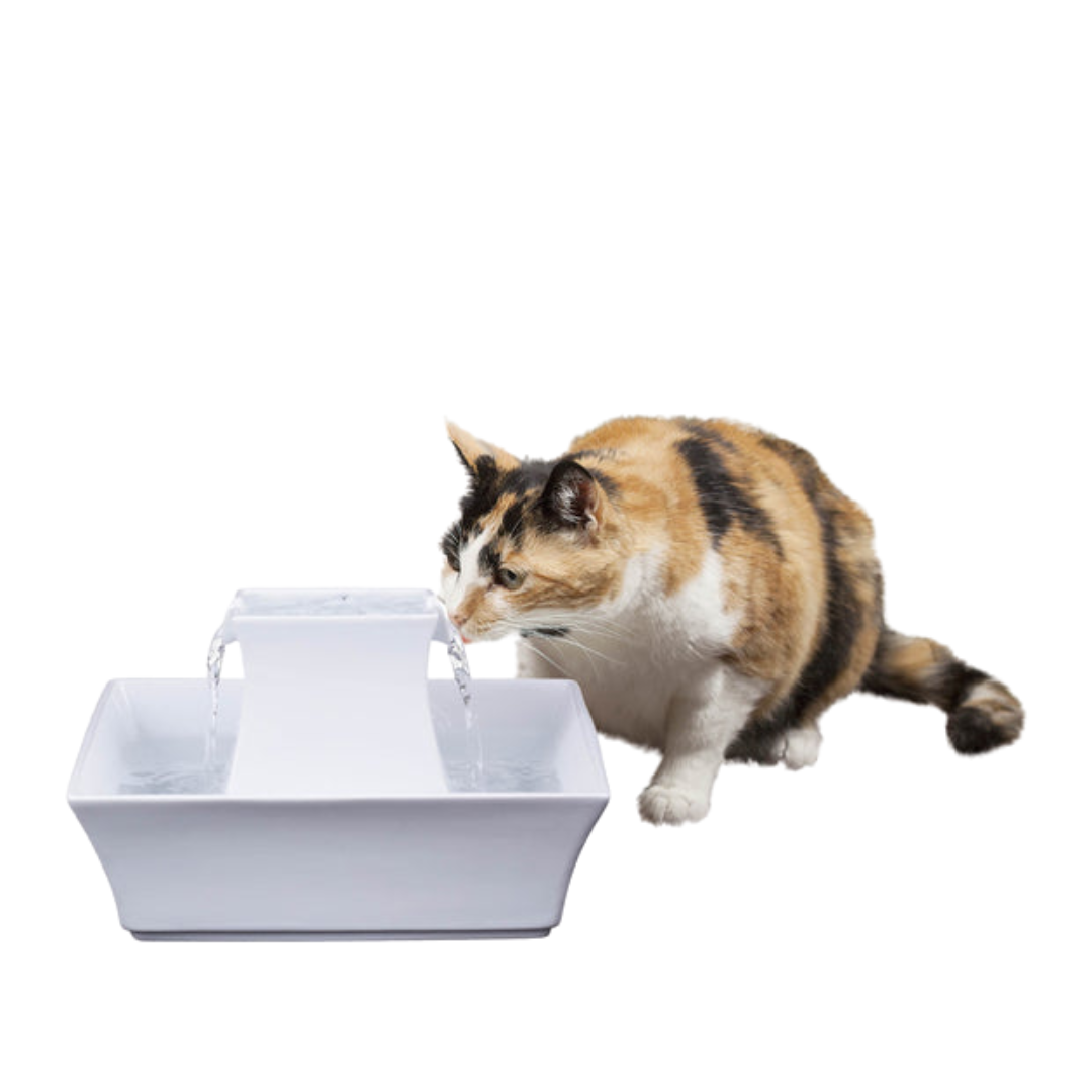 Fuente Pagoda para mascotas, blanca de PetSafe Drinkwell