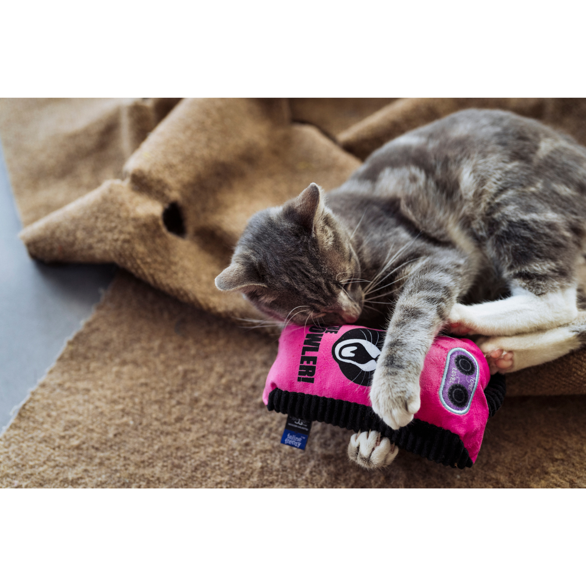 Stomp Box Kicker Toy - Jackson Galaxy x Feline Frenzy
