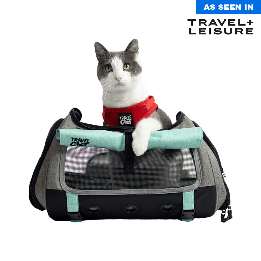 "The Transpurrter" Ultimate Calming Convertible Cat Carrier