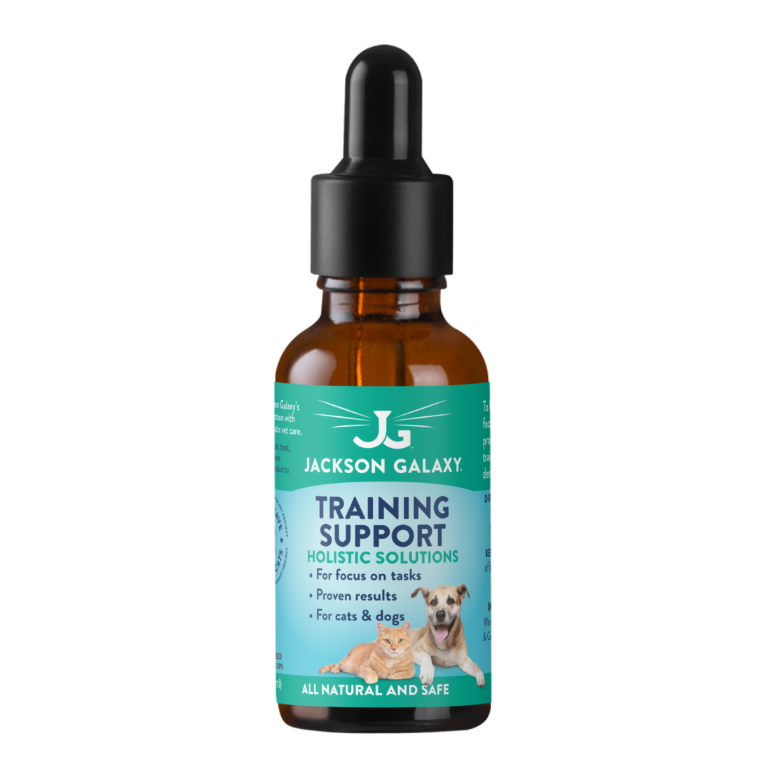 Z-Training Support