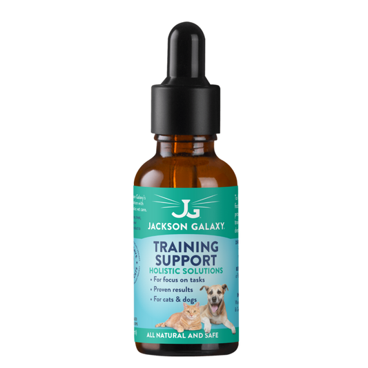 Z-Training Support