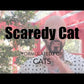 Scaredy Cat