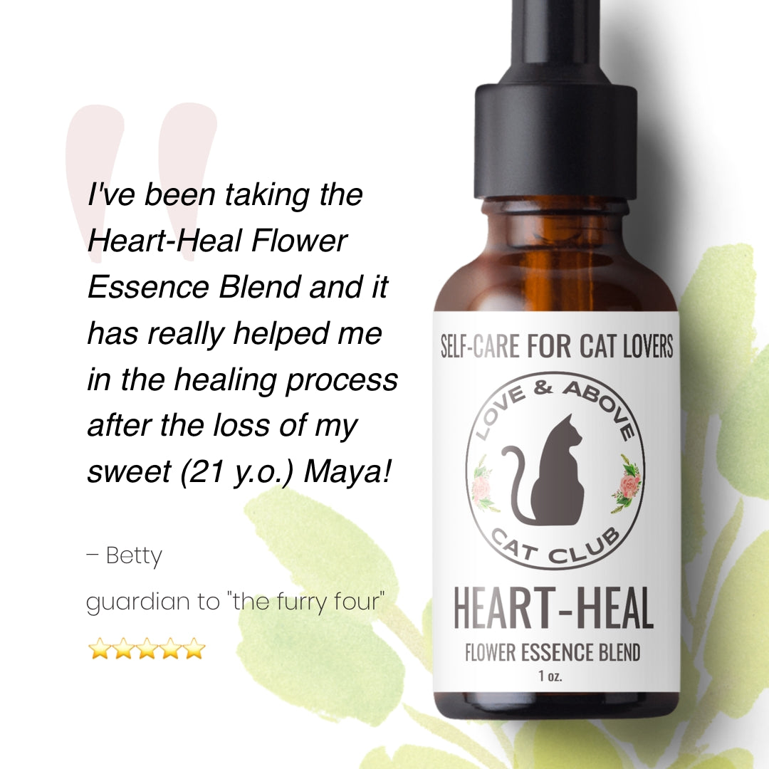 Heart-Heal - Apoyo al duelo para humanos