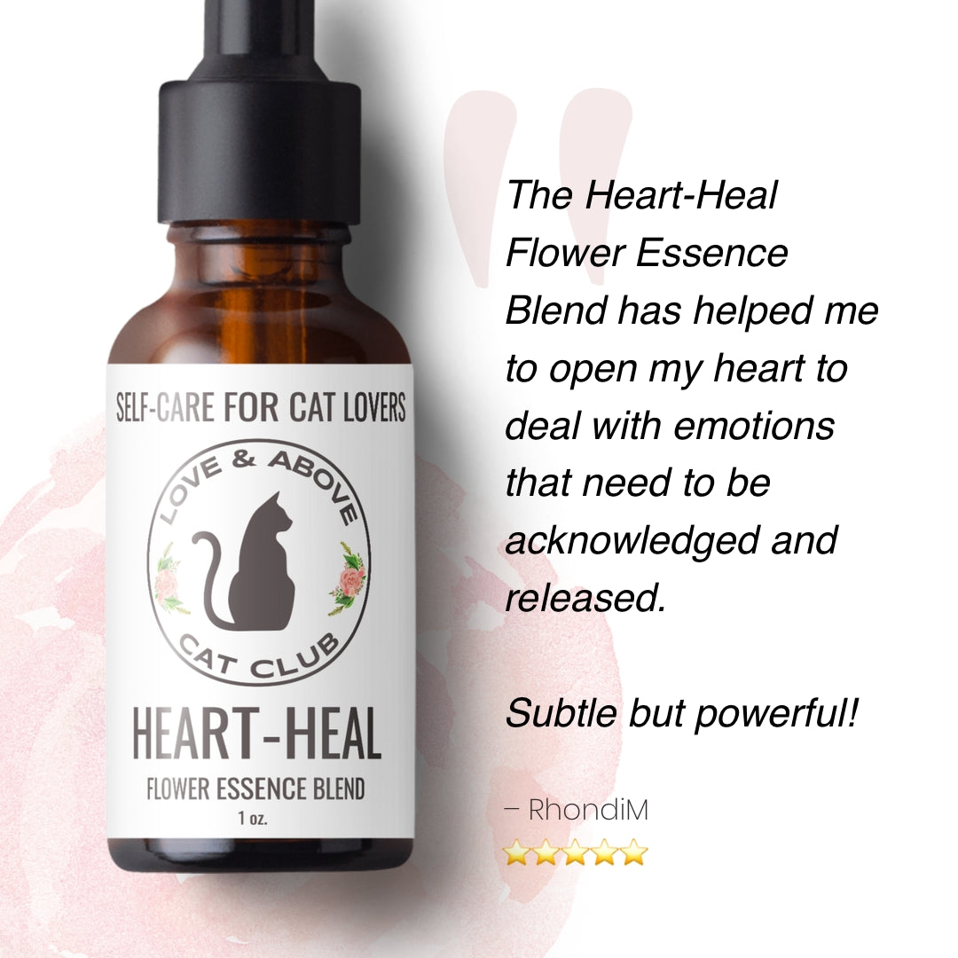 Heart-Heal - Apoyo al duelo para humanos