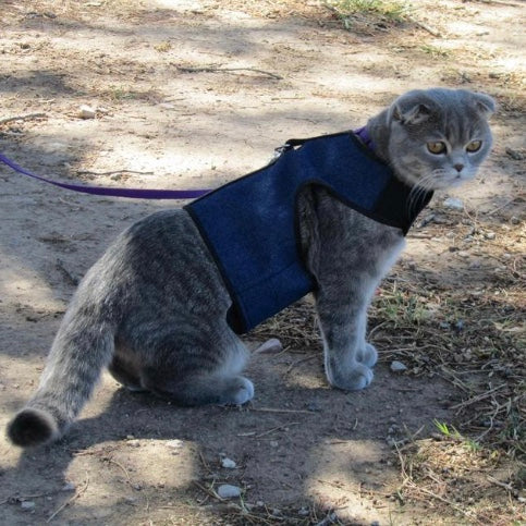 Arnés Z-Kitty Holster para gatos