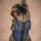 Arnés Z-Kitty Holster para gatos
