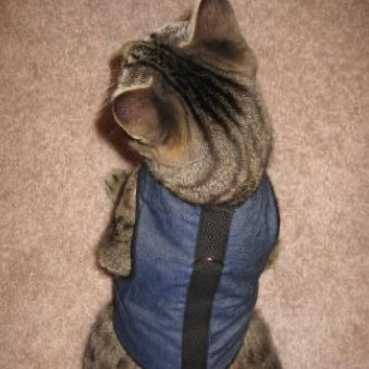 Arnés Z-Kitty Holster para gatos