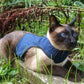 Arnés Z-Kitty Holster para gatos