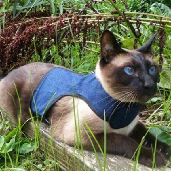 Arnés Z-Kitty Holster para gatos