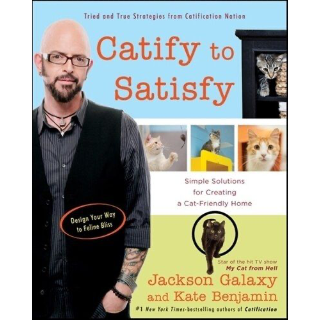 Catify To Satisfy: Simple Solutions for Creating a Cat-Friendly Home